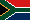 south africa springbok
