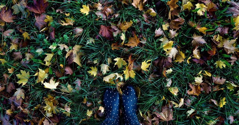 10 tendances mode à adopter cette saison pour un look canon