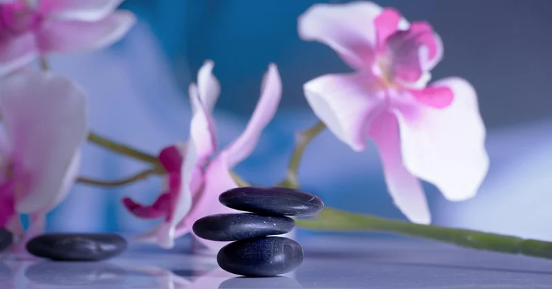 Méditation ou thérapie : quelle différence pour votre santé mentale ?